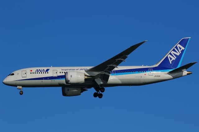 Boeing 787-8 (JA831A)