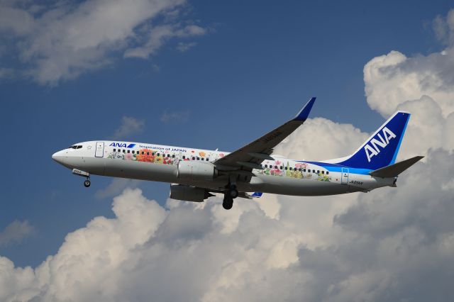 Boeing 737-800 (JA85AN) - August 31st 2019:HKD-ITM.