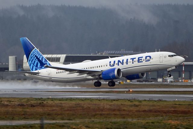 Boeing 737 MAX 8 (N17317)