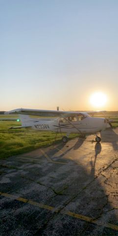 Cessna Skyhawk (N2338V)