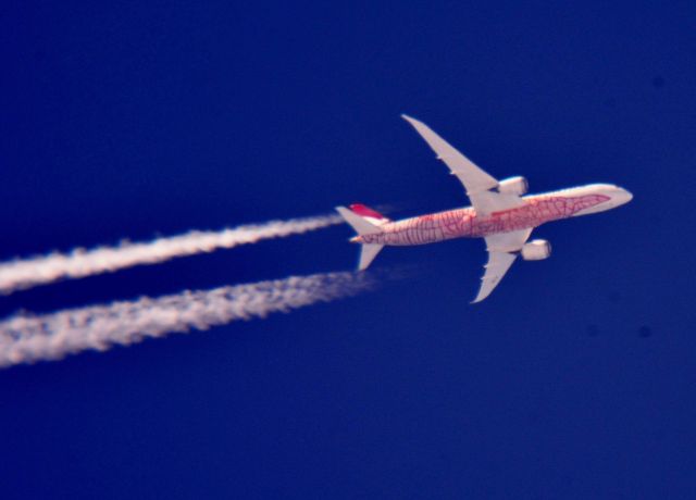 Boeing 787-9 Dreamliner (VH-ZND) - This is Qantas (Yam Dreaming Livery) flight 11 a Boeing 787-9 Dreamliner Los Angeles to New York over Cleveland at 40,975 ft. 09.14.19. Nice Paint Job !!!