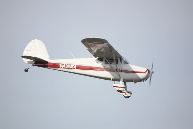 Cessna 170 (N4260V)