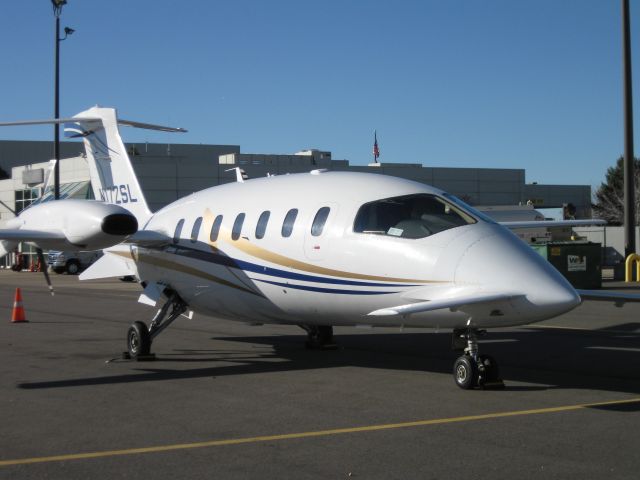 Piaggio P.180 Avanti (N172SL)