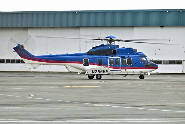 Eurocopter Super Puma (EC-225) (N256EV)