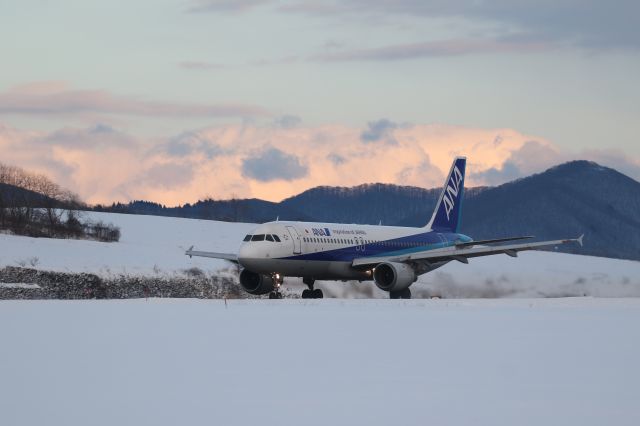 Airbus A320 (JA8400) - 11 January 2016:HKD-HND.