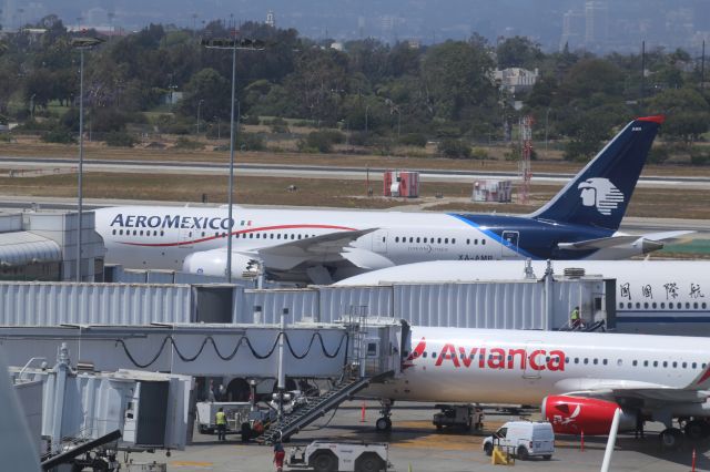 Boeing 787-8 (XA-AMR)