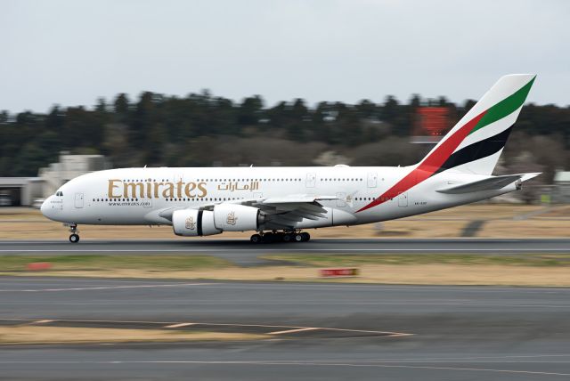 Airbus A380-800 (A6-EOF)