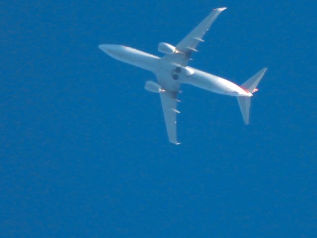 Boeing 737-800 (N961NN) - AAL2636br /SJD-ORDbr /11/19/2024