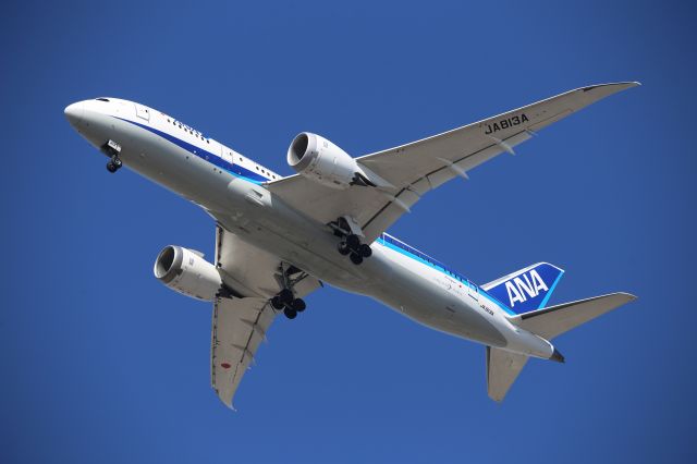 Boeing 787-8 (JA813A)