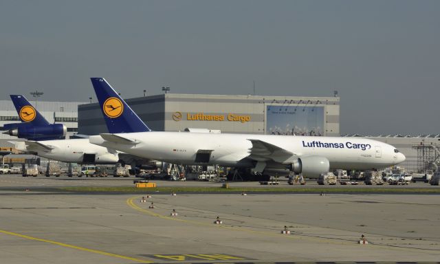 BOEING 777-200LR (D-ALFA) - Lufthansa Cargo Boeing 777-200LR/F D-ALFA in Frankfurt 