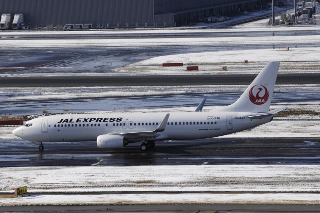 Boeing 737-800 (JA343J) - Taxing at Haneda Intl Airport on 2013/01/15