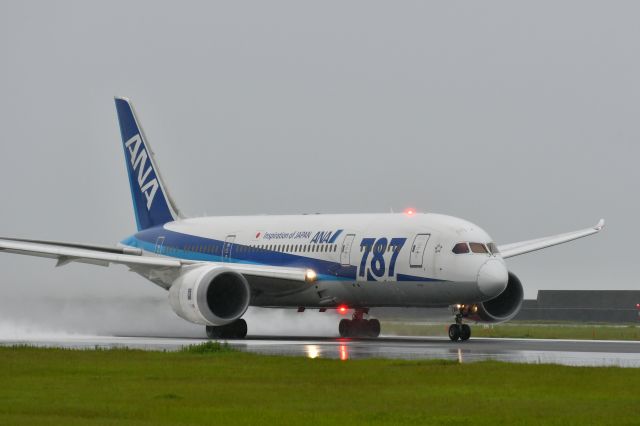 Boeing 787-8 (JA816A)