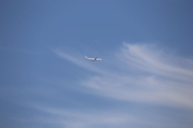 BOEING 777-300ER (JA733J)