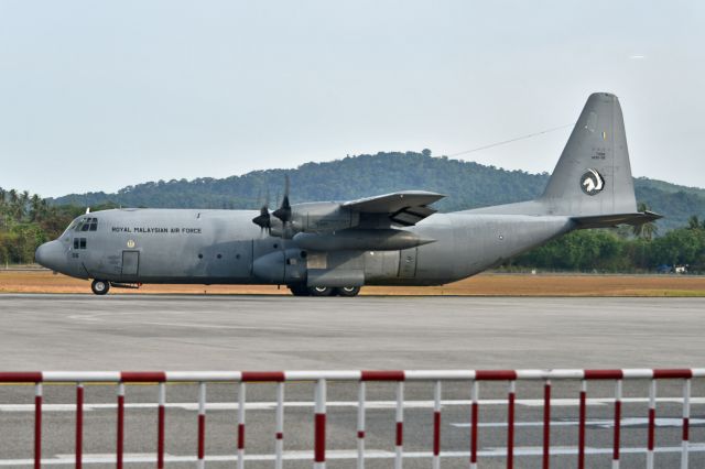 Lockheed C-130 Hercules (M3006)