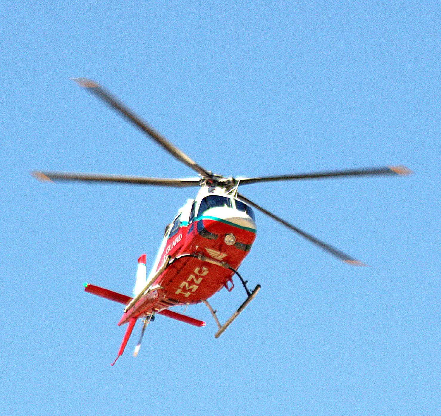 DENEL Koala (N306LG)