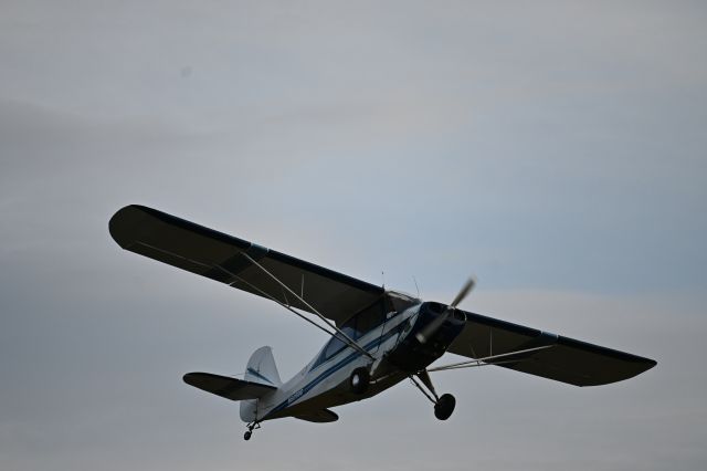 N6093C — - Necedah Airport Flying Tacos Social