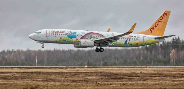 Boeing 737-800 (TC-CPN) - Pegasus (Ada E. Livery)