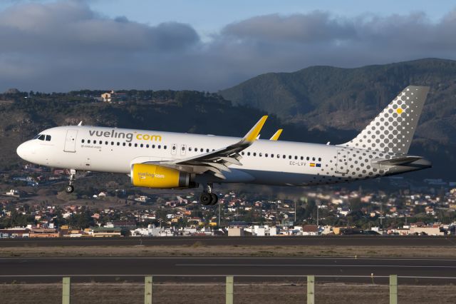 Airbus A320 (EC-LVV)