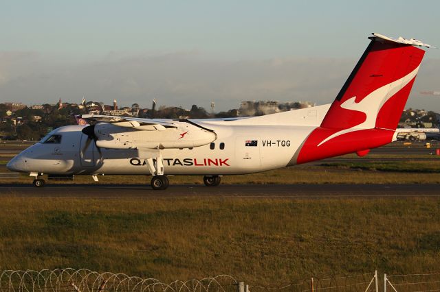 de Havilland Dash 8-200 (VH-TQG) - on 11 August 2019