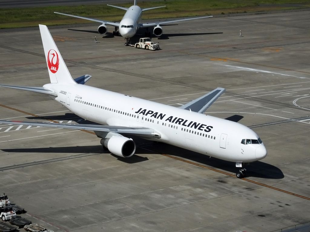BOEING 767-300 (JA8365)