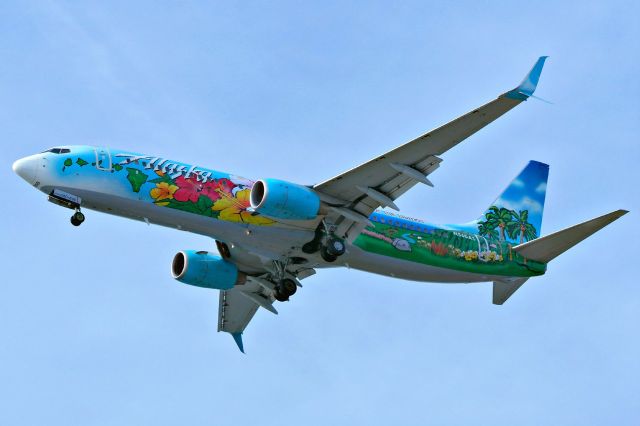 Boeing 737-800 (N560AS) - Spirit of the Islands 