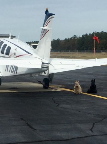 Beechcraft Bonanza (36) (N7BW) - Saw these cute dogs in Cape May couldn’t resist the picture opportunity 