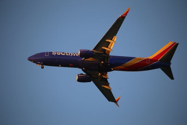 Boeing 737-800 (N8538V)