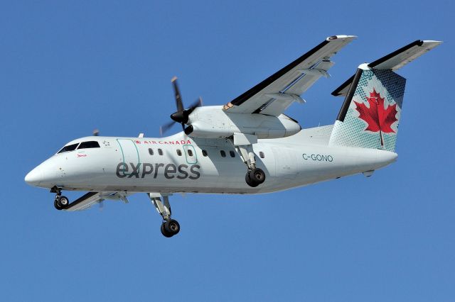 de Havilland Dash 8-100 (C-GONO)