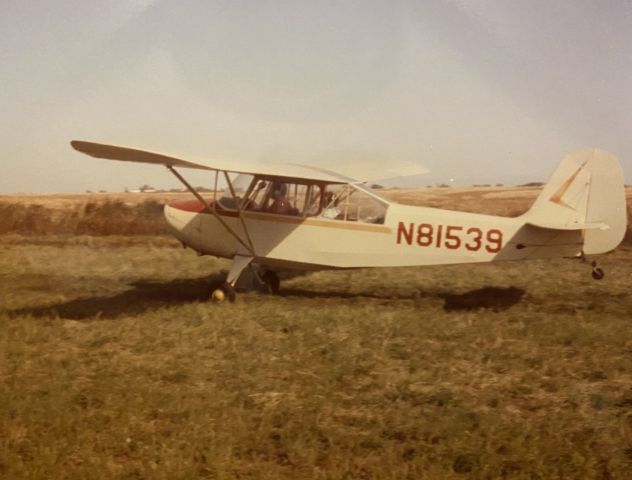 N81539 — - Early 80’s on farm strip near Pella, IA