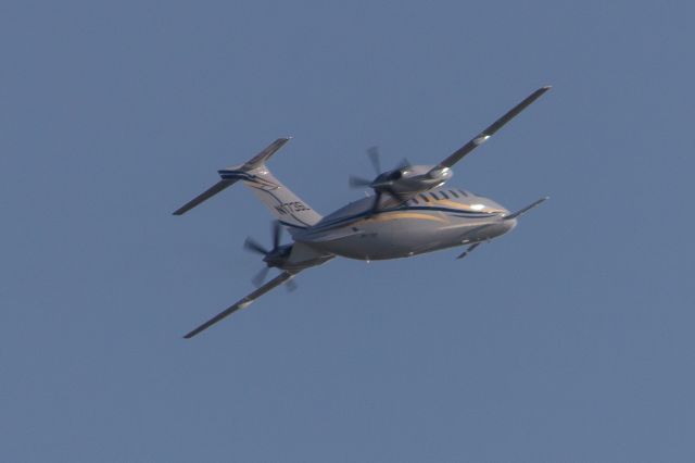 Piaggio P.180 Avanti (N173SL)