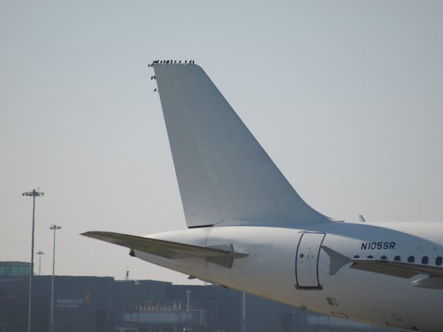 Airbus A320 (N105SR) - Birds are taking a rest