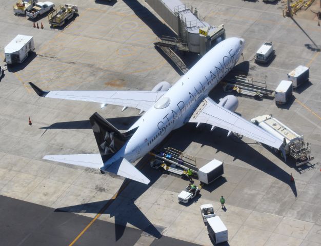 Boeing 737-800 (N76516)