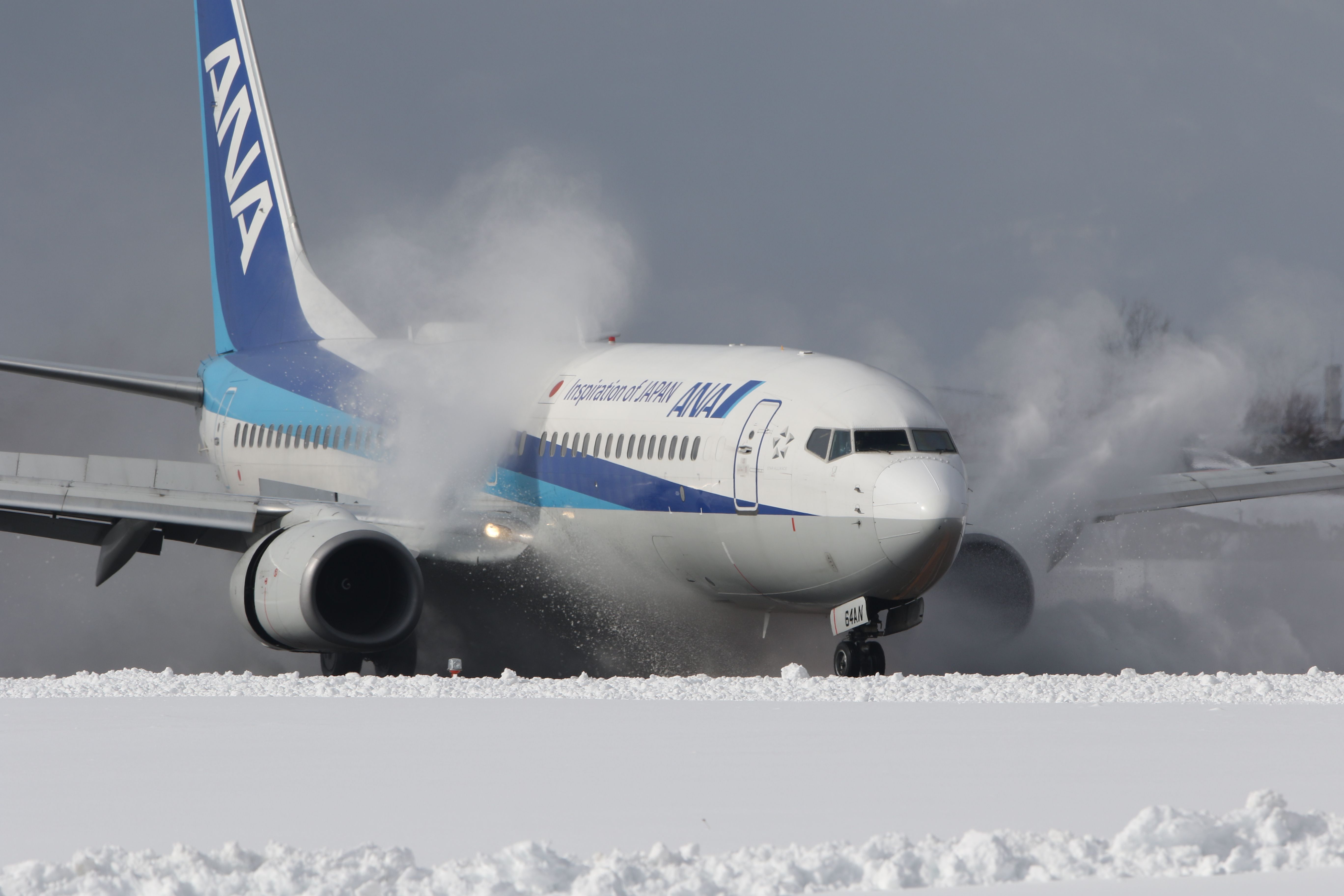 Boeing 737-800 (JA64AN) - February 4th 2018:ITM-HKD.