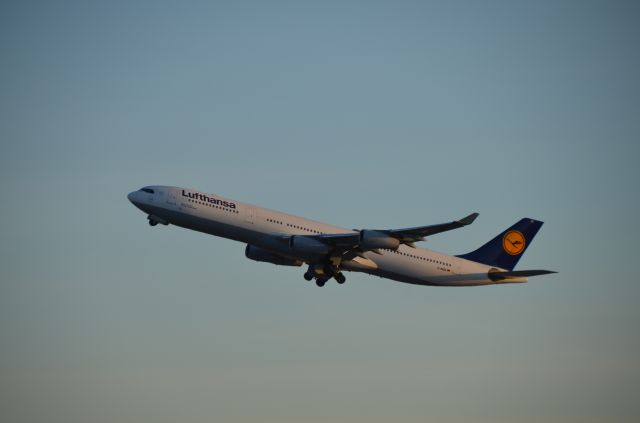 Airbus A340-300 (D-AIGZ)