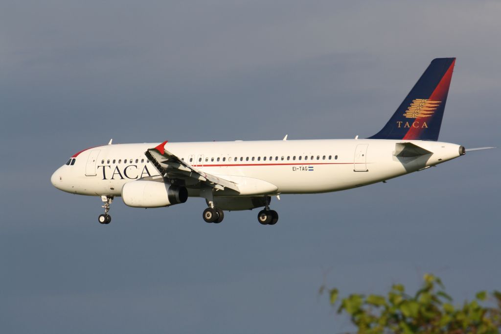 Airbus A320 (EI-TAG) - Landing At Lester B.Pearson Intl Airport,YYZ/CYYZ