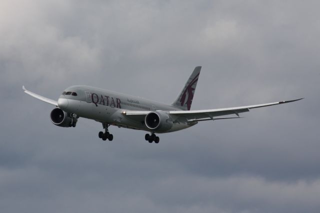 Boeing 787-8 (A7-BDA)