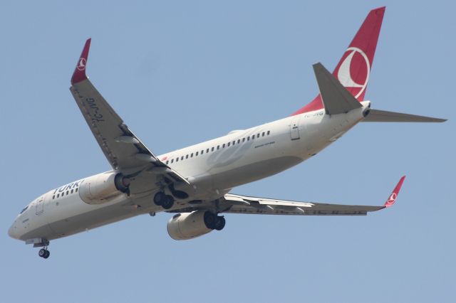 Boeing 737-800 (TC-JVG)