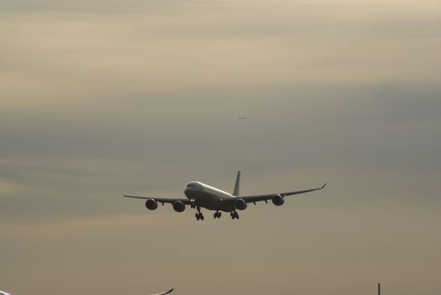 Airbus A340-600 (A6-EHF) - Etihad A340-642 cn837