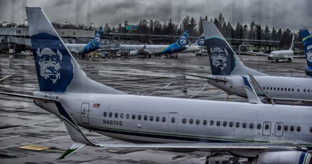 Boeing 737-900 (N487AS) - Alaska Airlines certainly dominates Seattle as seen in this shot