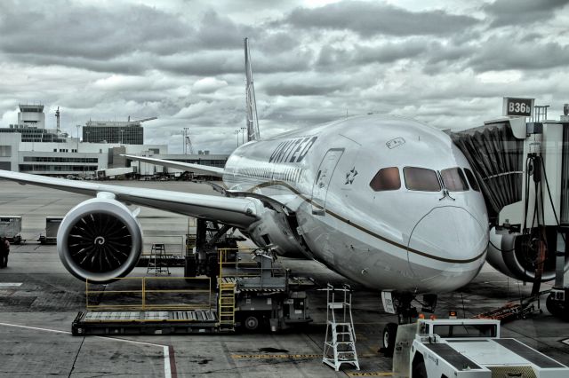 N0901 — - Dreamliner back in service IAH DIA United Airlines