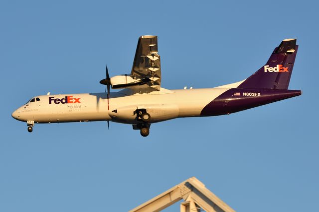 N803FX — - 02-02-23 23-L