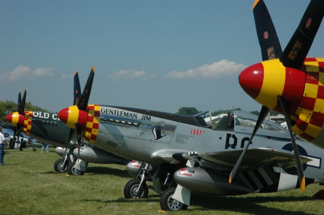 North American P-51 Mustang — - 357th FG