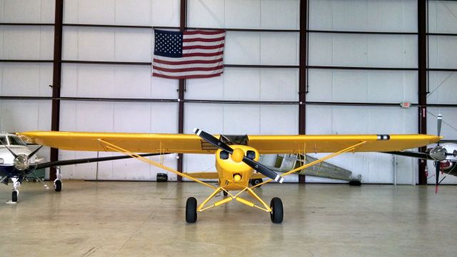 Piper L-18B Cub Special (N135WP)