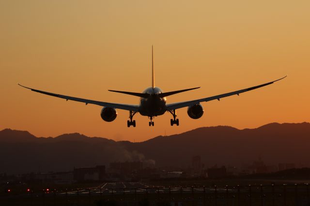 Boeing 787-8 (JA816A) - July 01, 2024:HND-HKD.
