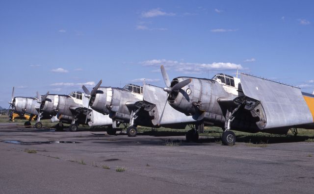 UNKNOWN — - August 1971, St-Jean-sur-Richelieu airport, south-east of Montreal. Grumman TBF/TBM Avengers.