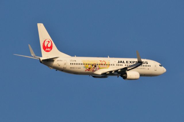 Boeing 737-800 (JA339J) - 2014/2/1