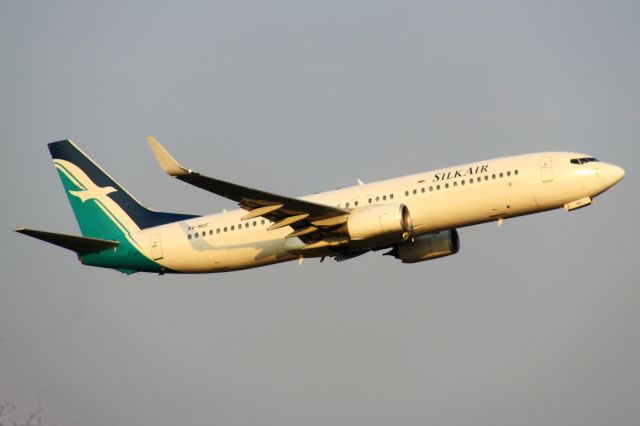 Boeing 737-800 (9V-MGF) - TIPS:Select full-size and wait for a while for better view.