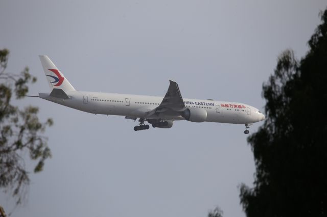 BOEING 777-300ER (B-7369)