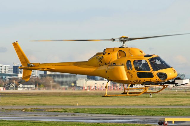 HELIBRAS VH-55 Esquilo (C-GTLC)