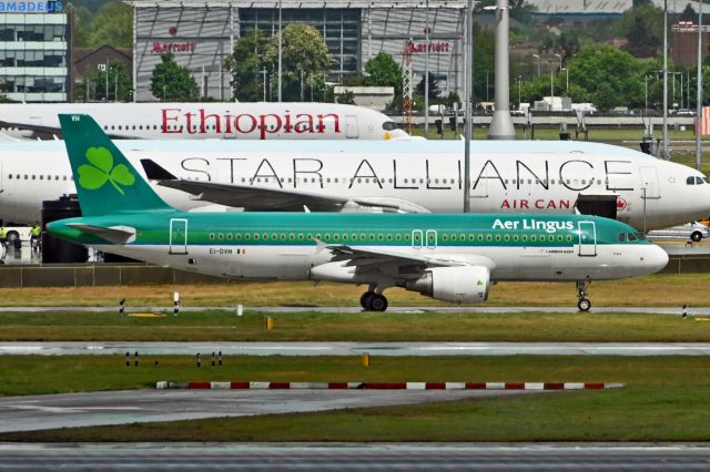 Airbus A320 (EI-DVH)